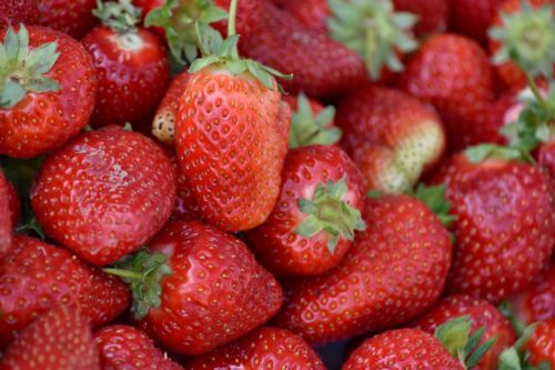 Sirop Artisanal de Fraise – Image 4