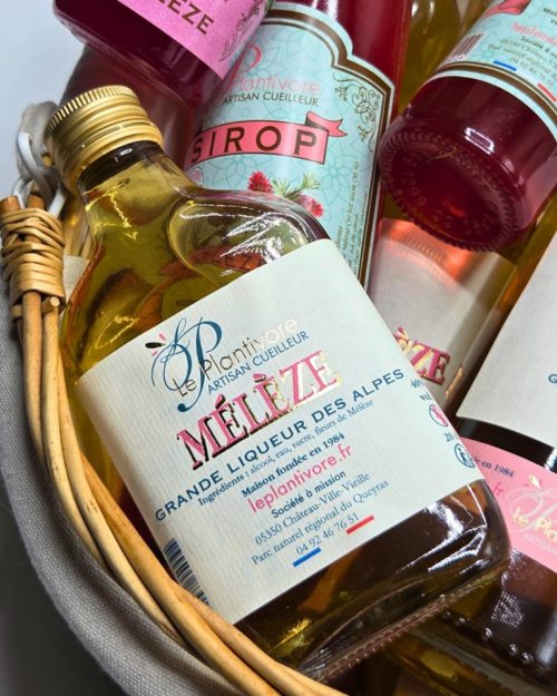 liqueur sirop et confiture de mélèze artisanale queyras valeur parc naturel régional artisan cueilleur de queyras