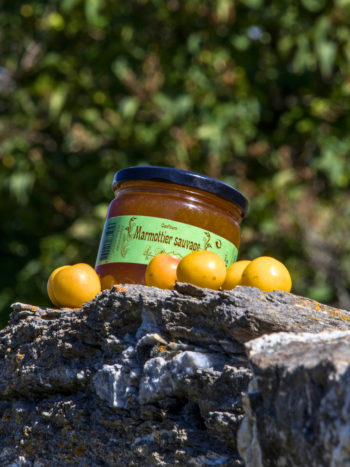 Confiture de Marmottier