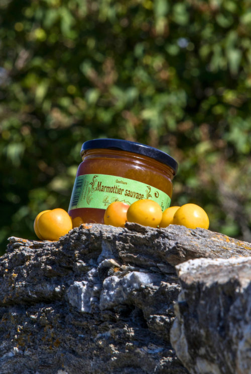 Confiture de Marmottier