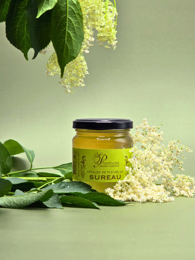 Gelée de Fleurs de Sureau confiture france hautes alpes plantivore