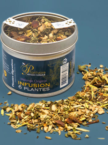 infusion 6 plantes artisanale bio artisan cueilleur le plantivore