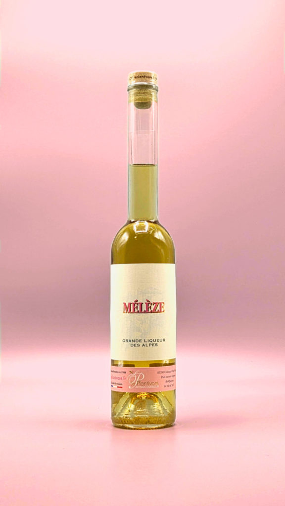 liqueur de mélèze artisanale queyras valeur parc naturel régional artisan cueilleur de queyras