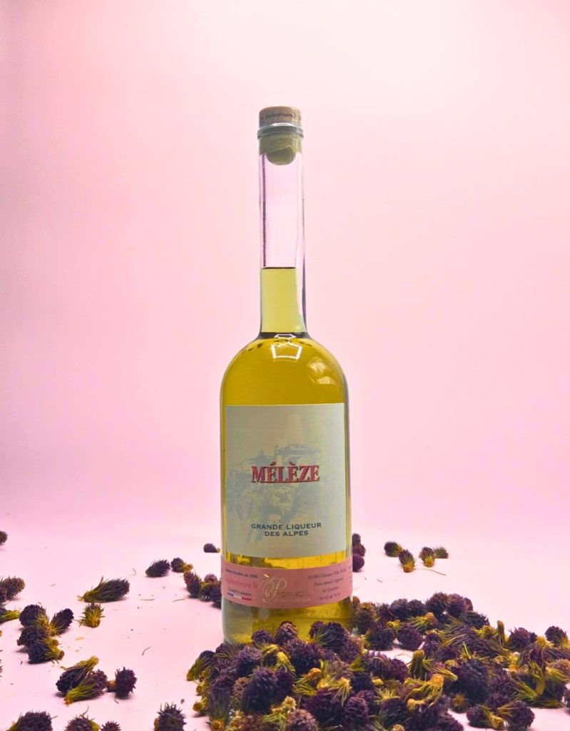 liqueur de mélèze artisanale queyras valeur parc naturel régional artisan cueilleur de queyras
