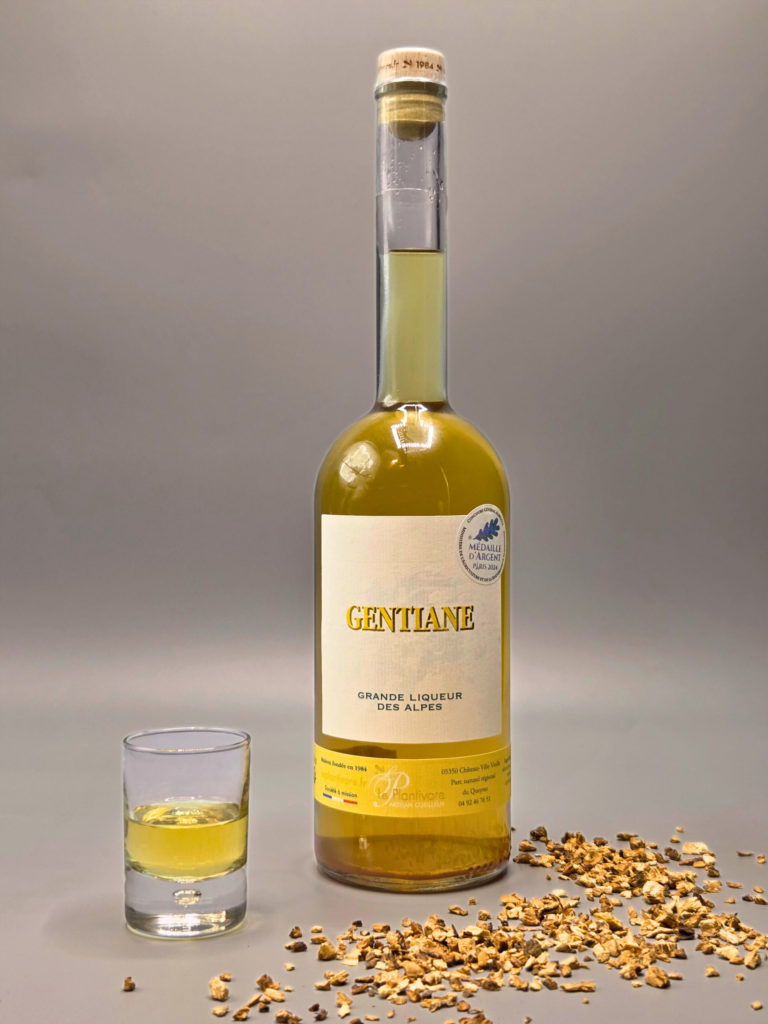 liqueur de gentiane artisanale queyras hautes alpes le plantivore