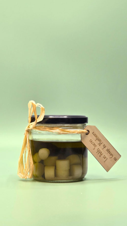 petits sucres au génépi infusés idée cadeau apéritif hautes alpes queyras plantivore