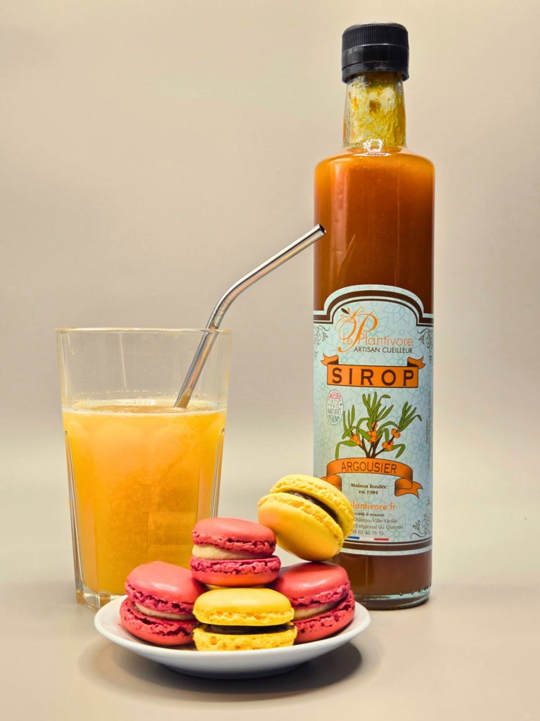 sirop artisanal d'argousier hautes alpes artisan cueilleur le plantivore