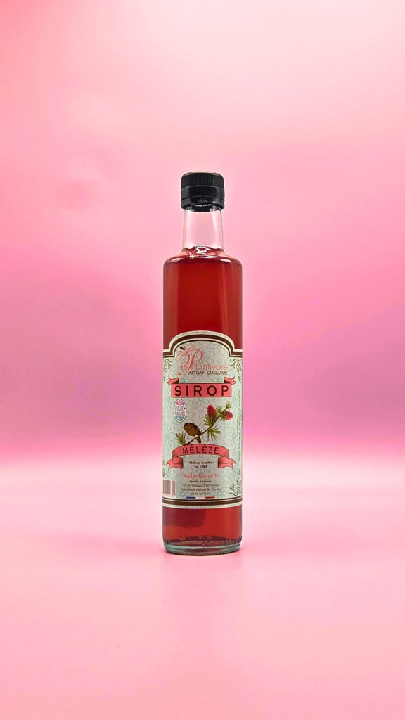 sirop artisanal de mélèze hautes alpes artisan cueilleur le plantivore