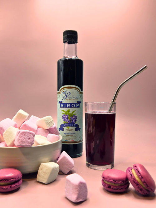 sirop artisanal de myrtille sauvage artisan cueilleur le plantivore hautes alpes